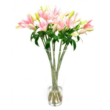 Pink Asiatic Lilies for Home or Office